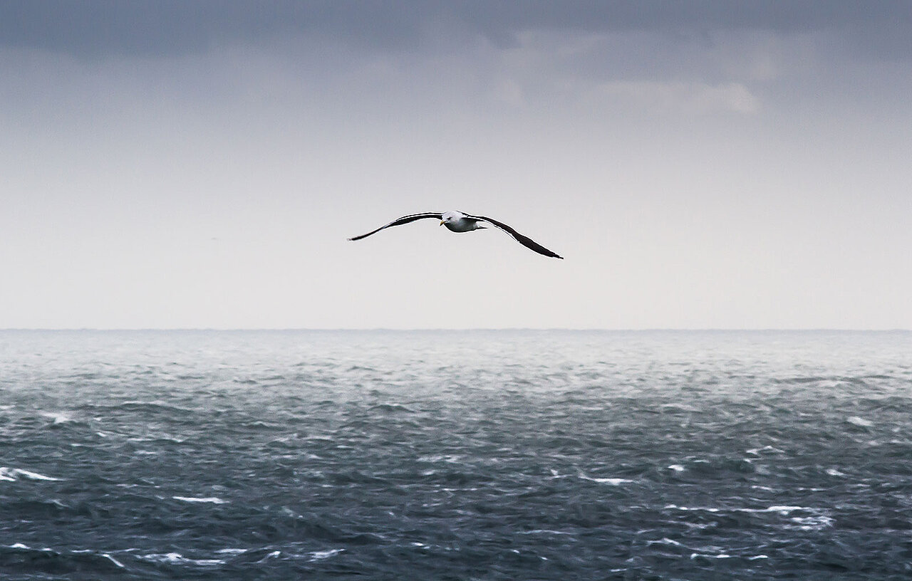 Foto: Ocean Breeze Energy GmbH & Co. KG